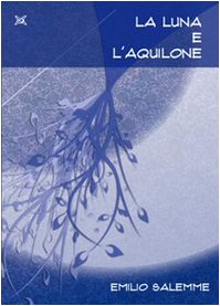 Copertina di 'La luna e l'aquilone'